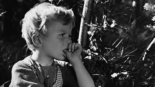 Ne joči, Peter Bild 5