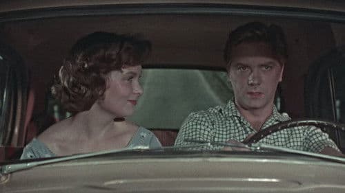 К Черному морю Bild 3