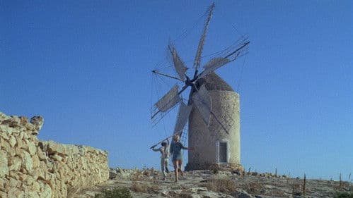 More – mehr – immer mehr Bild 6