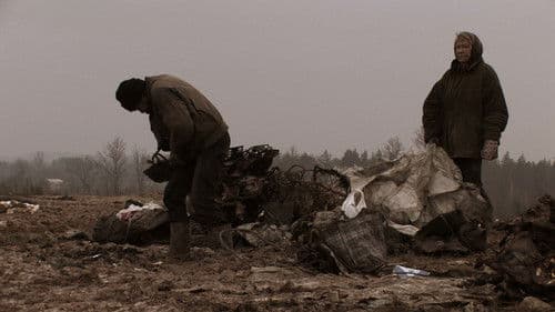 Stebuklų laukas Bild 1