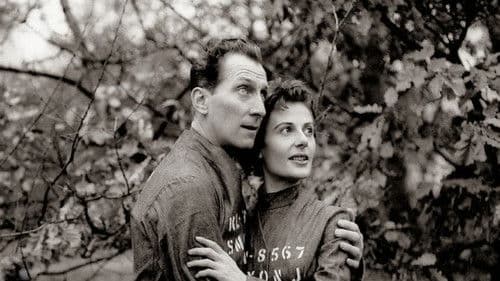 Nineteen Eighty-Four Bild 1