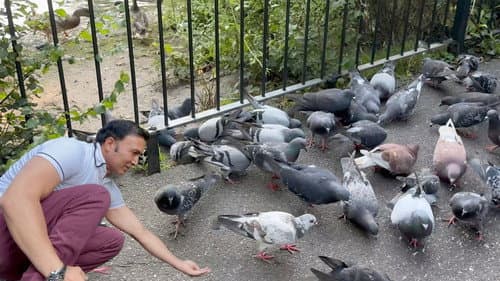 Manor Park Aldershot Bild 1