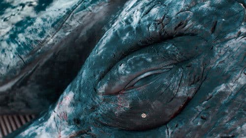 Пиблокто Bild 2