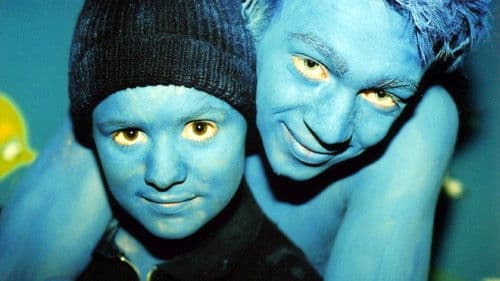 Fickende Fische Bild 1