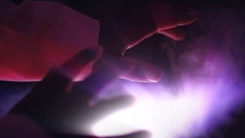 I'm Sorry, Cupcake Bild 1