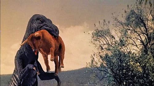 Der Fluch vom Monte Bravo Bild 8