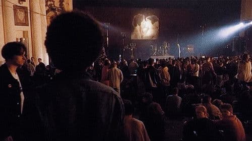 Suede: Love & Poison Bild 2