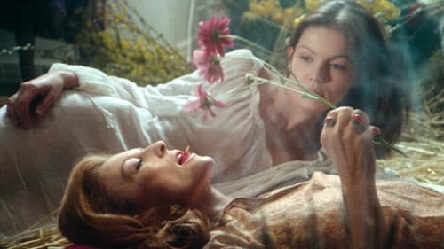 Le Rempart des Béguines Bild 2