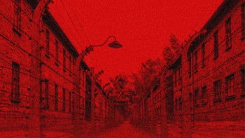 Auschwitz: Countdown To Liberation Bild 2