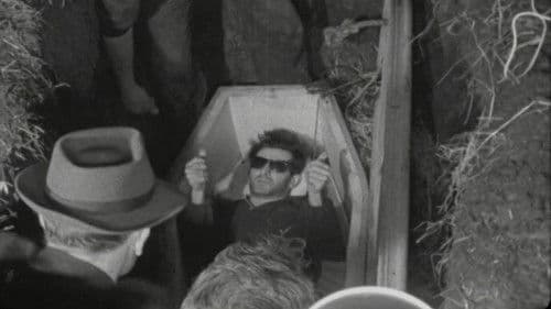 Beo Faoin bhFód Bild 2