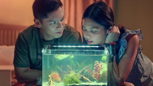 Isa Pa, With Feelings Bild 4