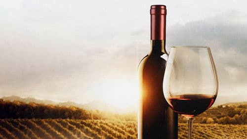 The Mostly Serious History of Wine Bild 1