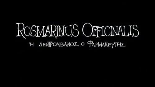 Δενδρολίβανος ο Φαρμακευτής Bild 1