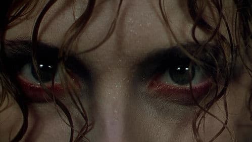 Die schwarze Narzisse Bild 4