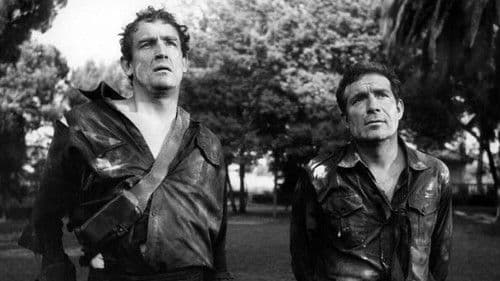 La marcia su Roma Bild 3