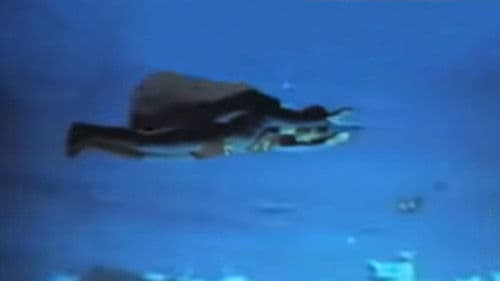 Süpermen Dönüyor Bild 2