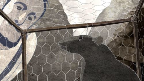 Ferdinand, rat des champs de bataille Bild 2