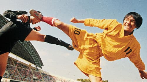 Shaolin Kickers Bild 2
