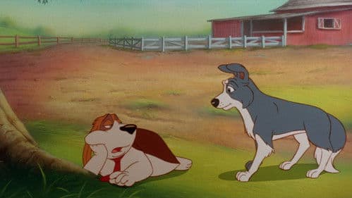 Rover & Daisy Bild 3