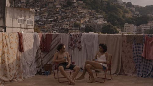 Pássaro Memória Bild 1