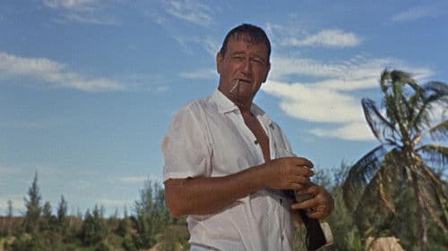 Die Hafenkneipe von Tahiti Bild 7