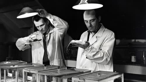 Mykoin PH 510 Bild 1