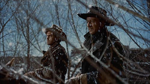 Der schwarze Falke Bild 7