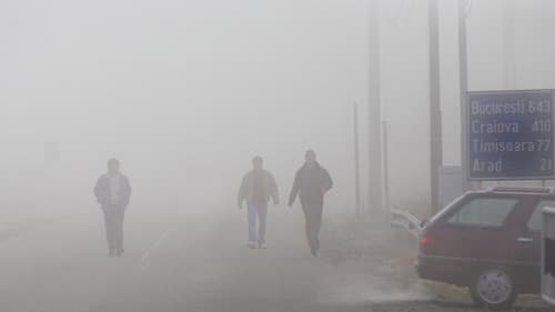 Est - Dittatura Last Minute Bild 2