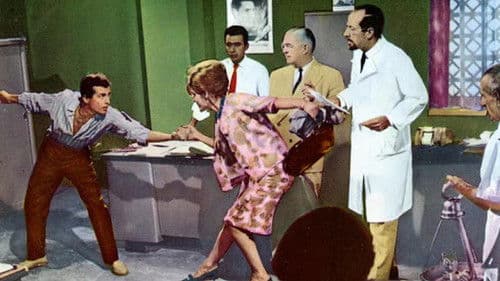 Το Τεμπελόσκυλο Bild 6