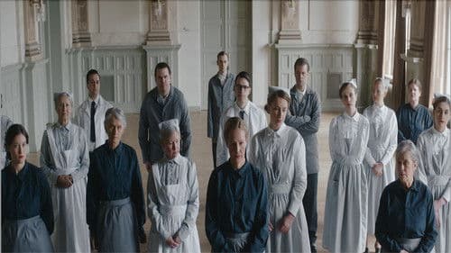 Sockerexperimentet Bild 5