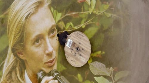 Jane Goodall : Comment sauver les animaux Bild 1