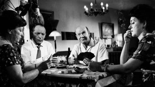 משפחת שמחון Bild 3