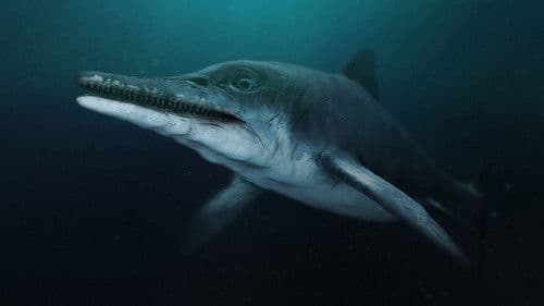 Attenborough and the Sea Dragon Bild 3