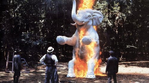 Good Morning, Babilonia Bild 2