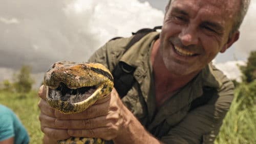 Derniers géants Bild 4