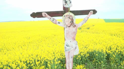 Selský rozum Bild 2