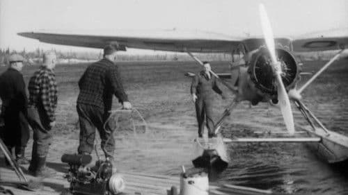 The Forest Commandos Bild 1