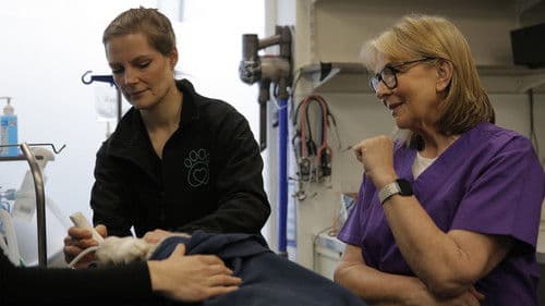 Fern Britton: Inside The Vet's Bild 1