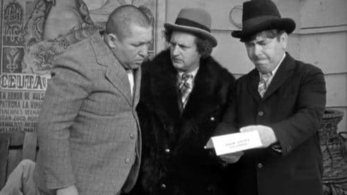 Saved by the Belle Bild 3