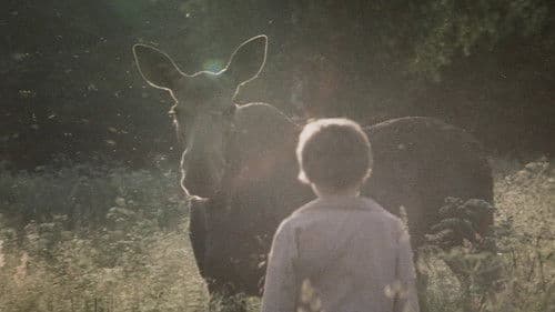 Руда фея Bild 2