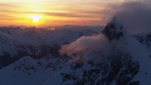 Into the Mind Bild 1