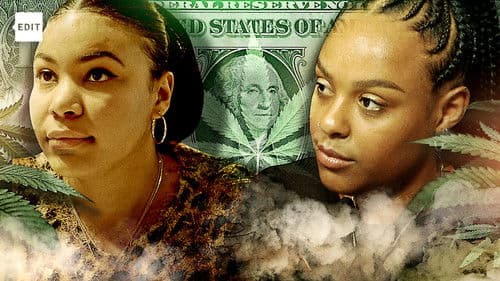 Cannabu$iness Bild 1