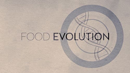 Food Evolution Bild 6