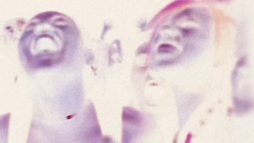 Selección Natural Bild 5