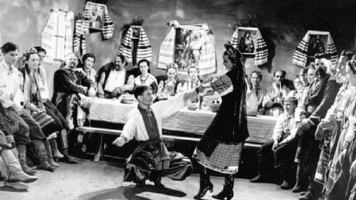 Zaporozhets za Dunayem Bild 3