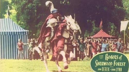 Robin Hoods Vergeltung Bild 7
