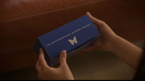 The Metamorphosis Project Bild 3