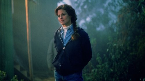 Gorillas im Nebel Bild 1