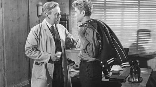 Der Tod hat schwarze Krallen Bild 5