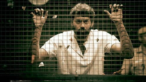 பரோல் Bild 5